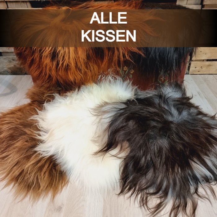 KISSEN